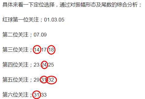 2O24澳门开奖结果王中王｜精选解释解析落实